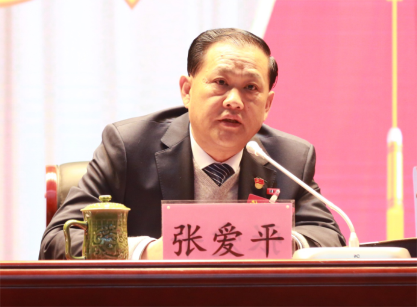 张爱平同志宣读中共爱体育平台第一届党委成员分工及纪委成员分工